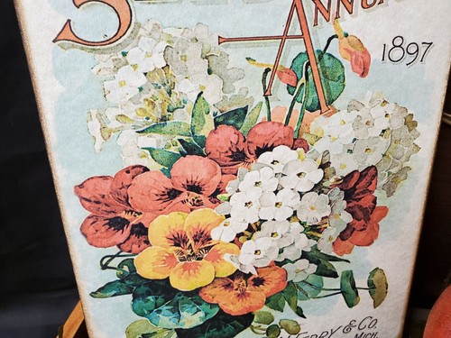 OLD PRIMITIVE ANTIQUE VINTAGE FOLK ART STYLE FERRY SEED ANNUAL FLOWER 1897 SIGN - Picture 5 of 8