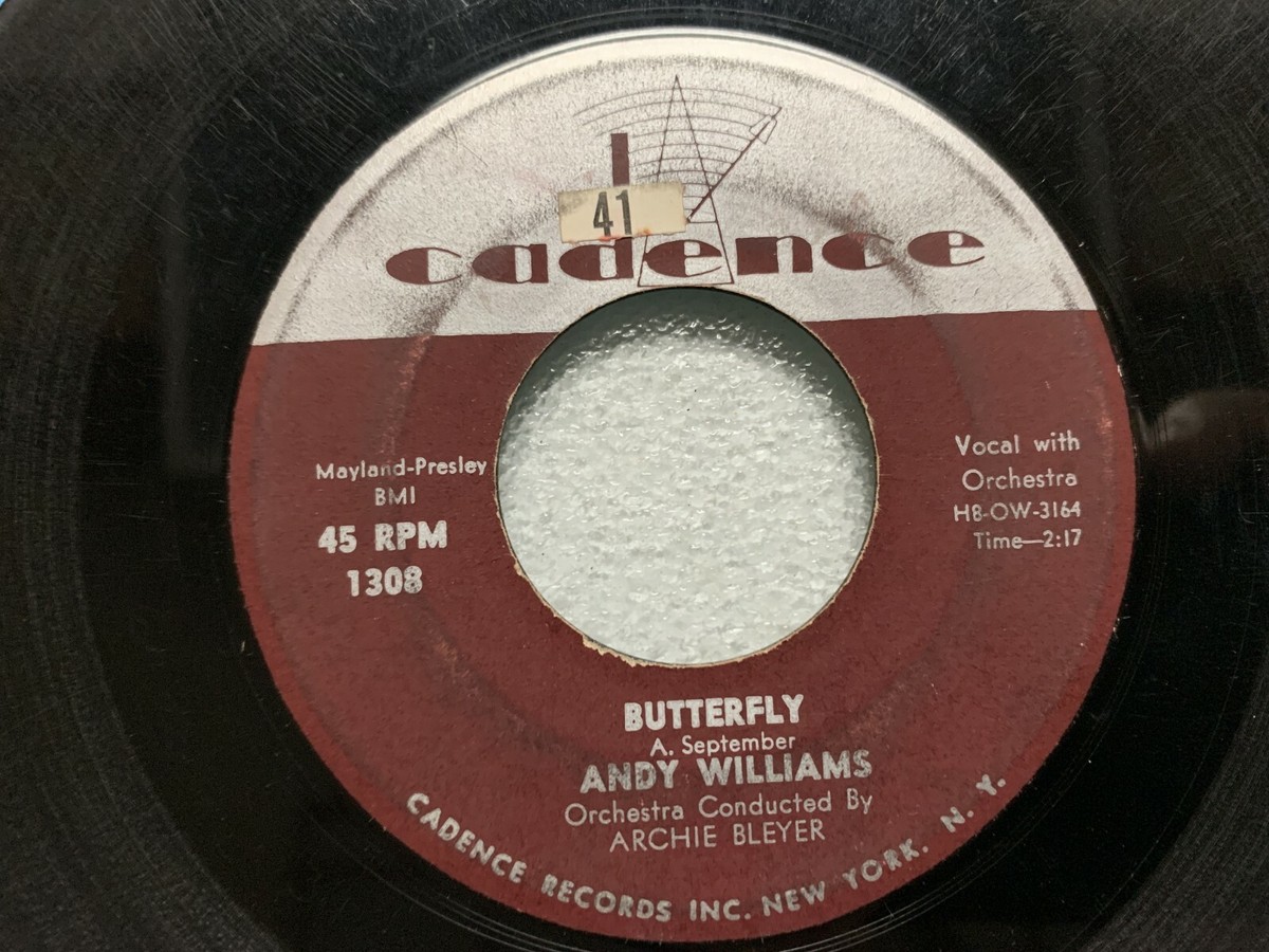 アンディ・ウィリアムス・デラックス　レコード Andy Williams - Andy Williams Deluxe レコードの通販店・販売