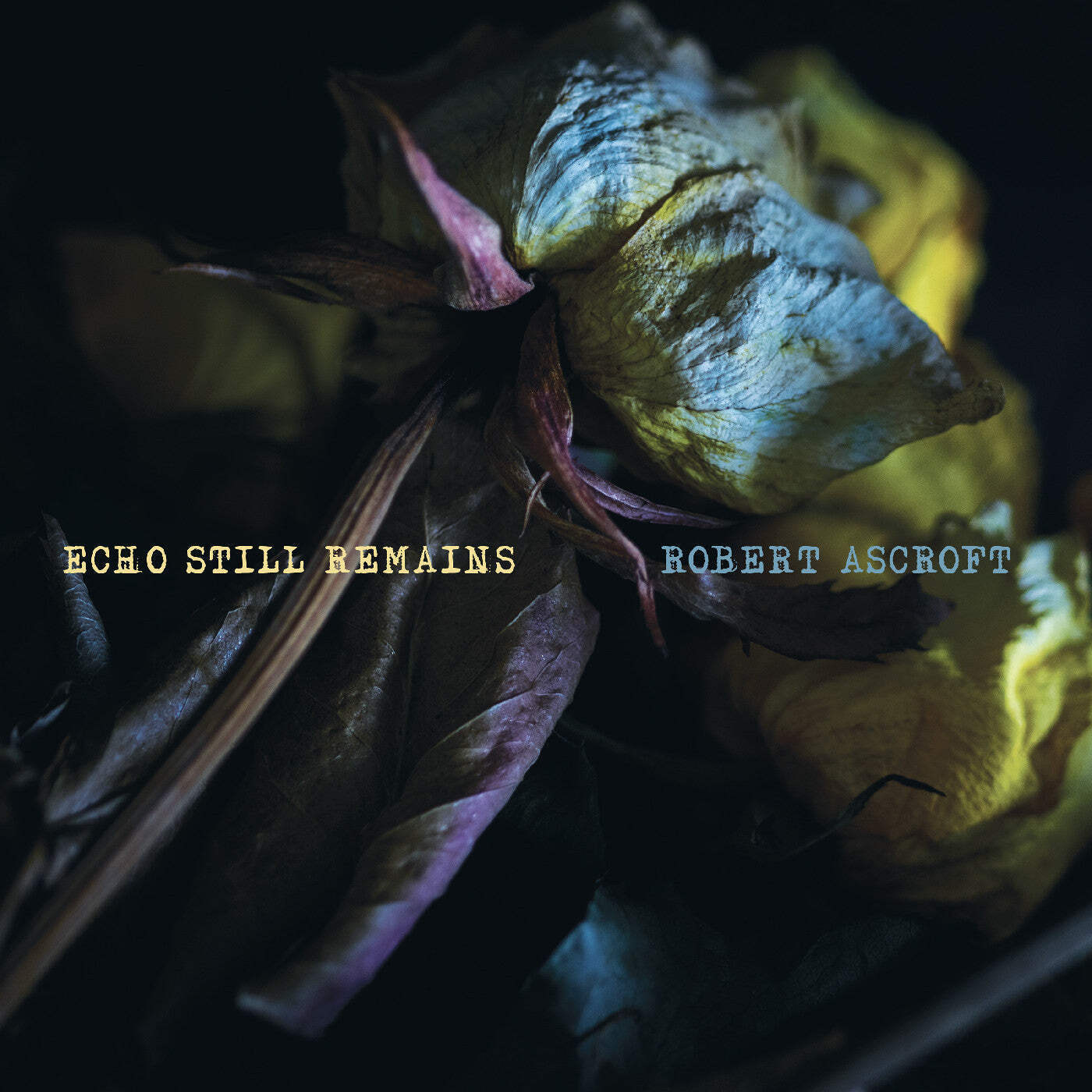 Роберт Аскрофт - Echo Still Remains [Винил с заварным кремом] НОВЫЙ винил