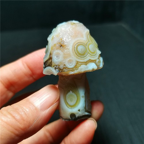RARO 46G Natural Gobi Ágata Ojos Ágata/Hongos Curación R1288 - Imagen 5 de 16
