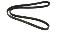 Hart 917 758 Keilrippenriemen FüR Mazda,Nissan,Renault,Toyota