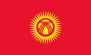 Kyrgyzstan Flag Self Adhesive Vinyl Sticker