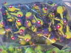 Bild 2 von 4