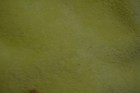 Bild 7 von 7