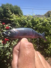 Custom Glide Bait S Waver 168 Style Color Shift  Morning Dawn Trapper Hooks