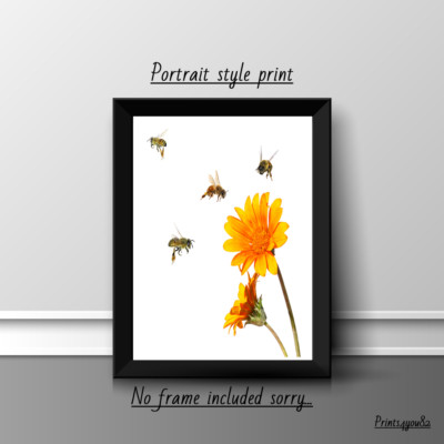 HUMMEL BLUMEN A4 DRUCK BILD POSTER WANDBILD WOHNDEKO UNGERAHMT GESCHENK