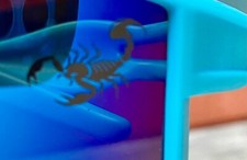 Sunglasses CHILD SCORPION  Secret Writing on Blue Lenses  Child Size