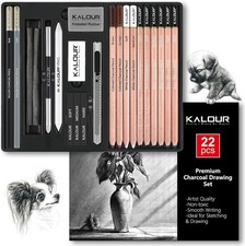 22pcs Charcoal Drawing Set, Professional Art 22 Count Pack of 1 , Black