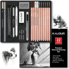 22pcs Charcoal Drawing Set, Professional Art 22 Count (Pack of 1), Black 
