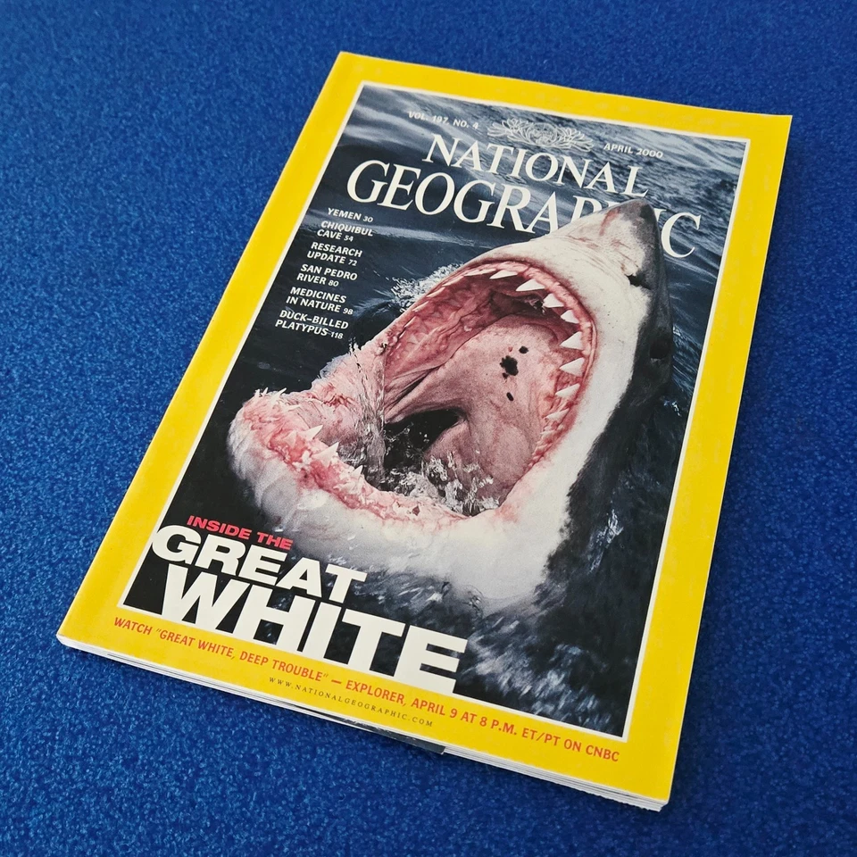 INSIDE THE GREAT WHITE SHARK APRIL 2000 NATIONAL GEOGRAPHIC MAGAZINE - Image 4 of 4