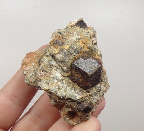 GARNET var. ALAMANDINE crystals -- NORWAY Nordland - Buvika - Buviknakken /pl258 - Picture 11 of 13