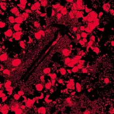 SOEUMBALGWANG [FIRE AND LIGHT] 3rd Album/ CD+Booklet K-POP SEALED