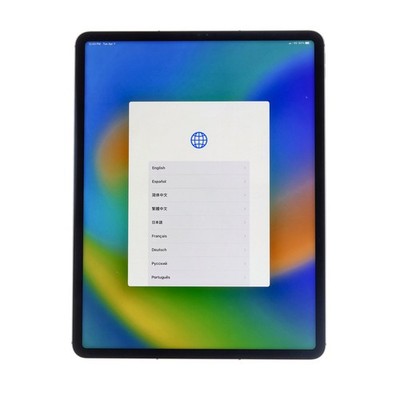 Apple iPad Pro 12.9'' 5th Gen 2021 A2379 Unlocked 256GB Space Gray Very Good
