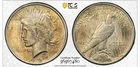 1925 P Silver Peace Dollar PCGS Gold Shield Slab TONED $1 Uncirculated BU detail