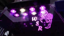 Refugium CHAETO LED Light WSR8PK12V