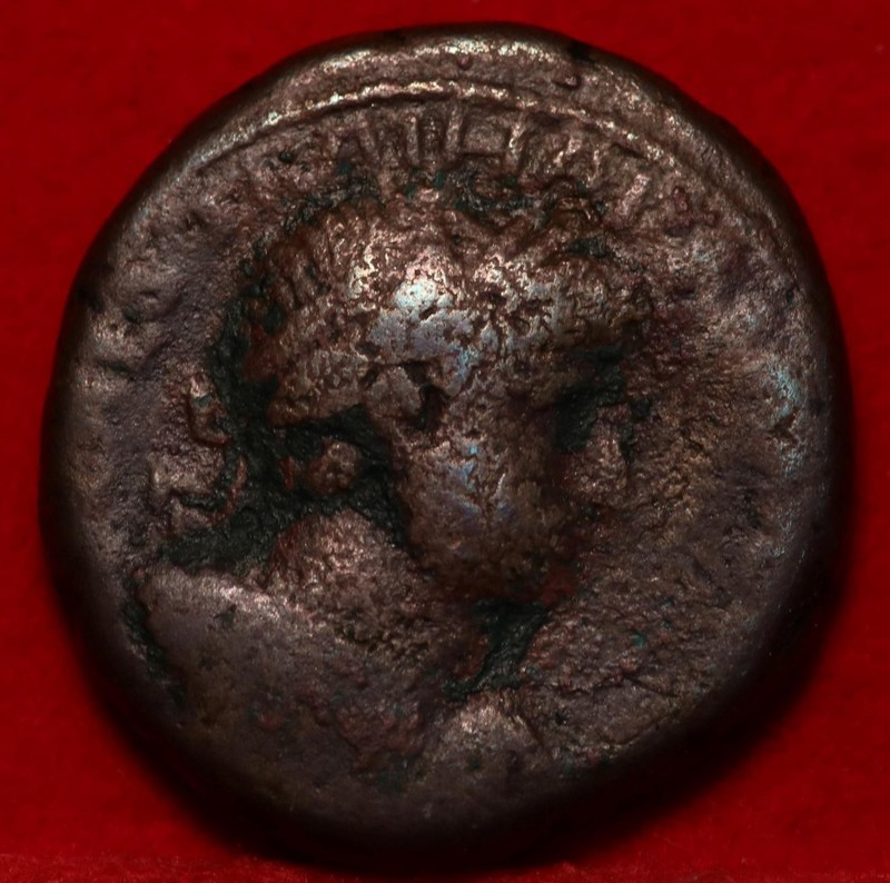 117-138 AD Ancient Rome Greek Province Phoenicia Hadrian AE Coin