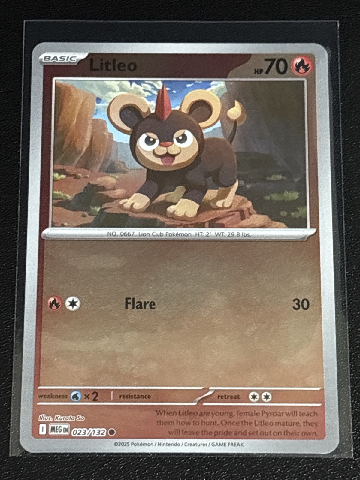 Pokémon TCG Mega Evolution Litleo Reverse Holofoil 023/132 NM