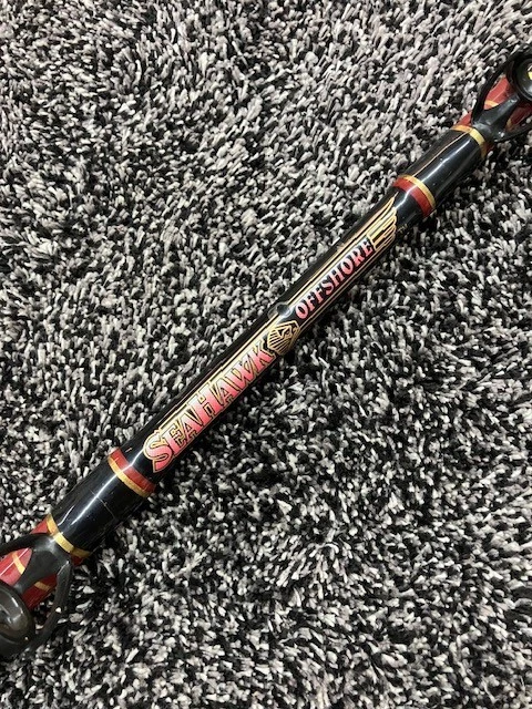 Fenwick Saltwater Fishing Rods & Poles for sale | eBay