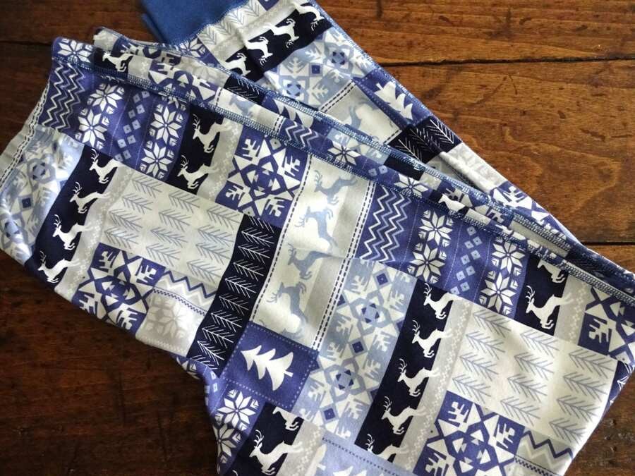THE COMPANY STORE BLUE White NORDIC Reindeer ORGANIC COTTON 2PC PAJAMA Set MED
