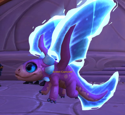 WoW Skipper Axolotl Pet - BlizzCon 2026 Loot - World of Warcraft