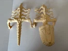 Vintage 1984 Masters of The Universe (MOTU) Battle Bones Figure Carrier