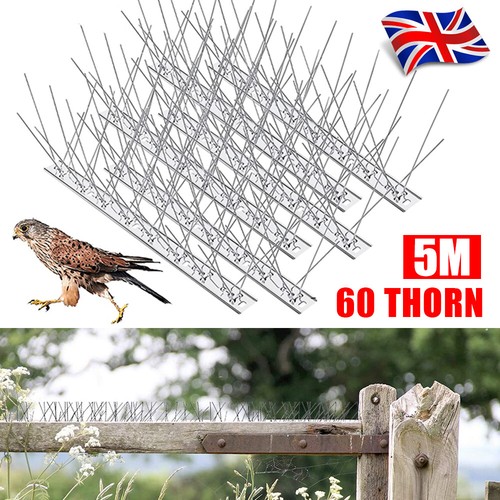 5M Steel Bird Spikes Anti Climb Pigeon Seagull Repeller Wall Fence Cat Deterrent eBay