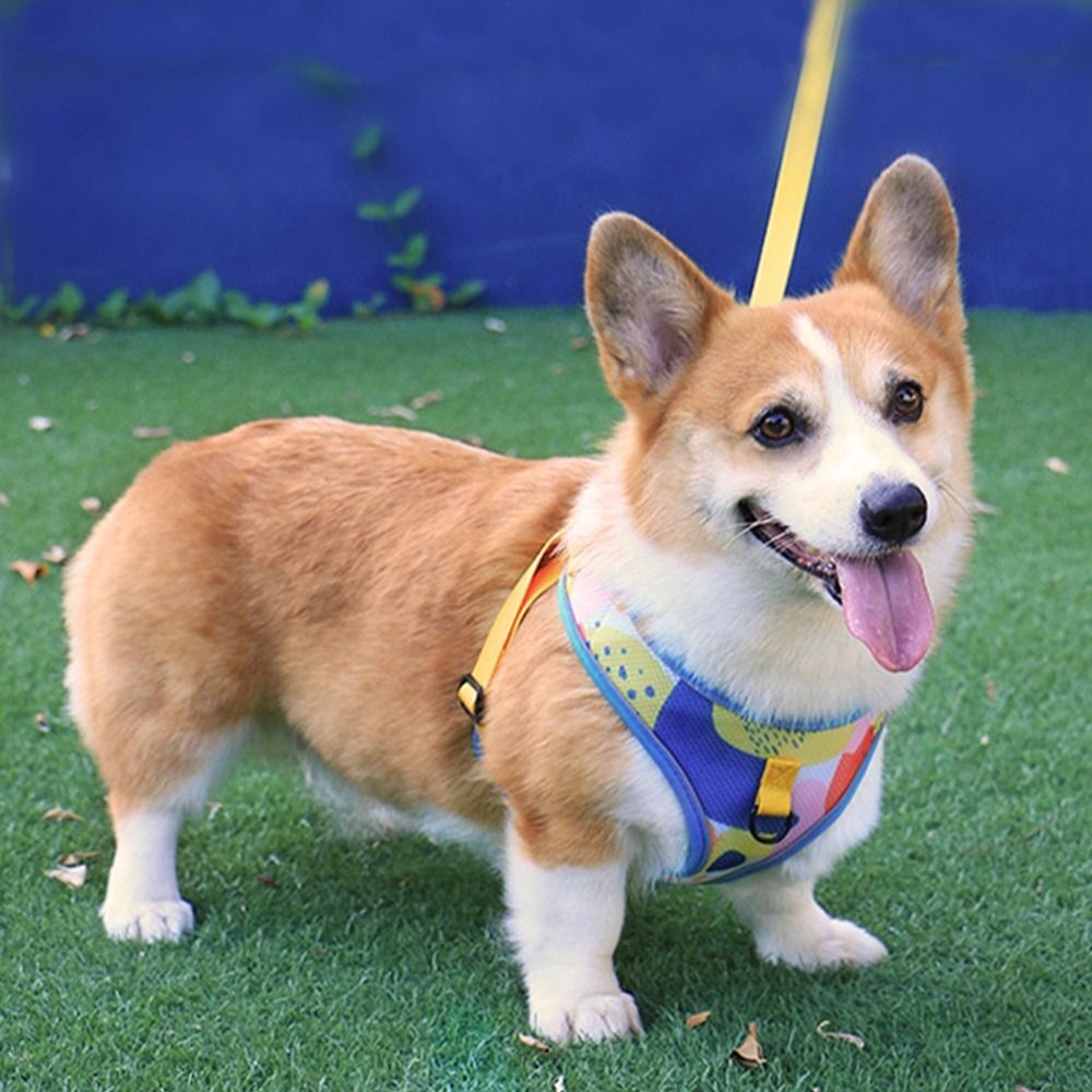 Adjustable Dog Chest Strap Pet Dog Harness Dog Chest Vest Training