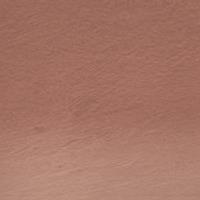 Derwent Procolour Pencil - Nutmeg (65)