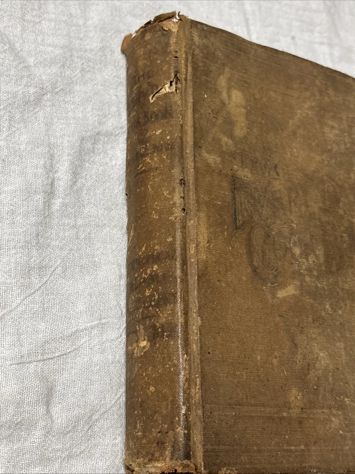 1892 Antique Cook Book Everyday Cookbook Illustrated Miss E Neil - Image 3 of 4