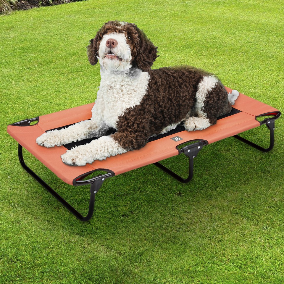 Best Friends Folding Dog Cot mesh center for ventilation with foldable