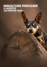 Miniature Pinscher 2026 Calendars (A3)