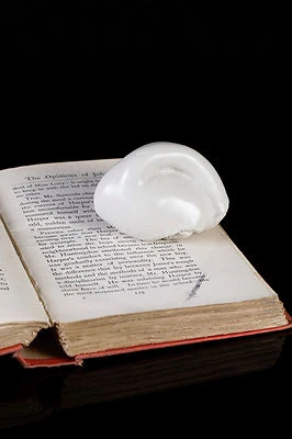 Groom/Stick Book Cleaner 100g - Reusable Non-Abrasive Paper, Art, Eraser