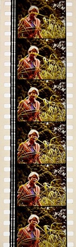 Jurassic Park 1993 Very Rare Unmounted 35mm Film Cells - Steven Spielberg - Picture 19 of 142
