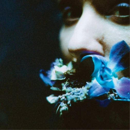 Circuit Des Yeux Reaching for Indigo (CD) Album - Imagen 1 de 1