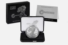 2025 Laser Engraved American Eagle One Ounce Silver Proof Coin ~ In Hand Sealed