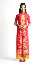 NWOT Hand-painted Embellished Vietnamese Special Occasion Bridal or TET Ao Dai