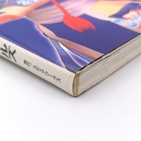 Dead Or Alive 2 Official Guide & Girls Book 2000 Sega Dreamcast DC DOA2