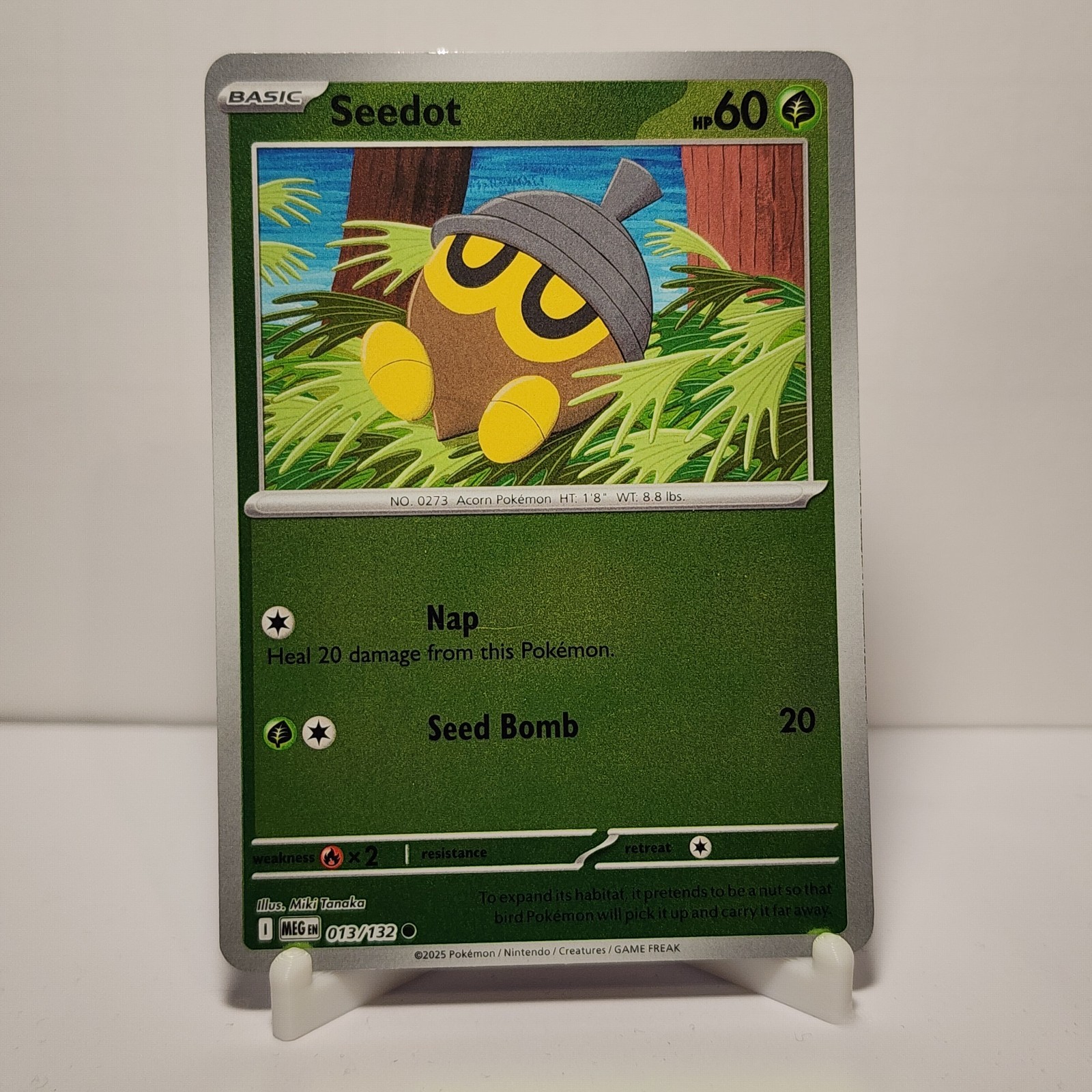 Seedot (Reverse Holo) 013/132 - Mega Evolution - Pokemon - NM/M English