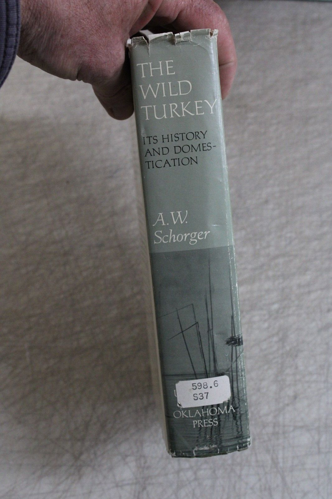 THE WILD TURKEY ITS HISTORY AND DOMESTICATION By A W Schorger - Hardcover