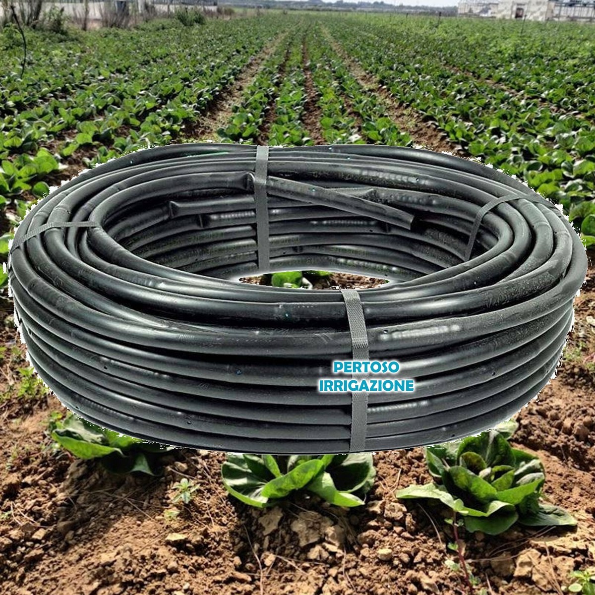 20 X 1/2 Pollice Giardino Spinati Connettore Plastica Irrigazione A Goccia Tubo Connettore 15 Mm - Foto 11