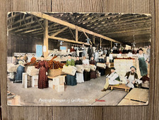Fresno California CA Postcard Oranges Women Men Dresses Vintage Warehouse
