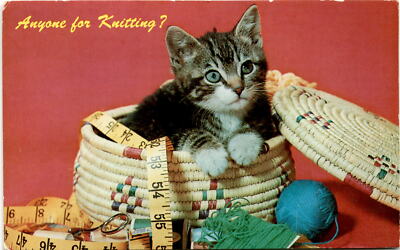 Postcard: Anyone for Knitting? - Camera Clix Photo