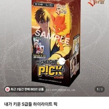 Naskul Highlight Pick Pre-order Group Purchase