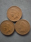 3 Indian Head Pennies Lot (1907) | Authentic U.S. Cents | Exact Coins |#305