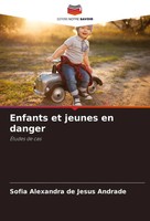 Sofia Alexandra De Jesus Andrade | Enfants Et Jeunes En Danger | Taschenbuch