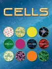 Cells (Let's Explore Science) - Hardcover By Susan Meredith - GOOD ...