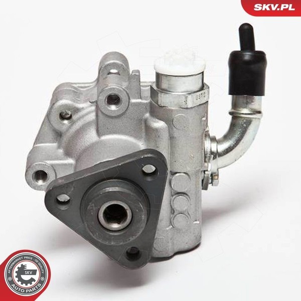 Esen SKV Hydraulikpumpe, Lenkung 10SKV075 FüR Audi VW-image