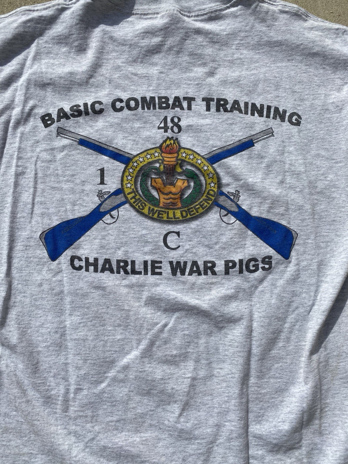 Dragoons Basic Combat Training Charlie War Pigs T… - image 18