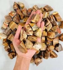 Rough Petrified Wood Crystals, Bulk Healing Gems & Fossil Stones for Tumbling