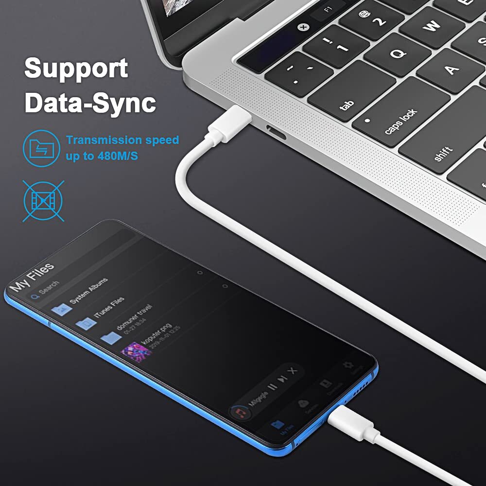 Schnellladegerät 40W Dual-Port Für IPhone & IPad – USB-C Wandadapter Mit 1,8m Kabel | Inkl. 4 Farben